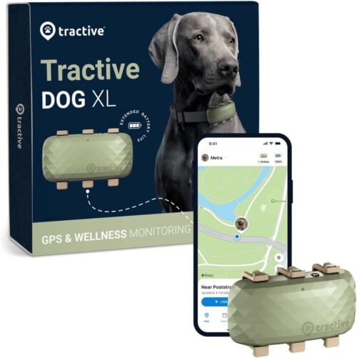 Tractive XL GPS Dog Tracker (50 lbs+) | Real-time Pet Location Tracker | Health & Wellness Alerts | Virtual Fence for Dogs | Dog Collar Attachment (Green)