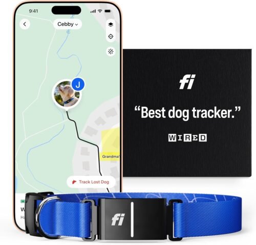 Fi Series 3 Smart Dog Collar – GPS Dog Tracker and Activity & Fitness Monitor, Waterproof, LED Light, Escape Alerts, Nationwide Coverage [Free 6 Month Membership] (Blue, Large)