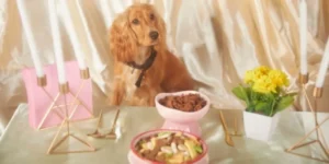 A Guide to Pet Wellness Plans and Their Benefits