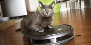 Why Every Pet Owner Should Consider Smart Pet Gadgets for Their Pet