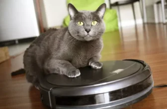 Why Every Pet Owner Should Consider Smart Pet Gadgets for Their Pet